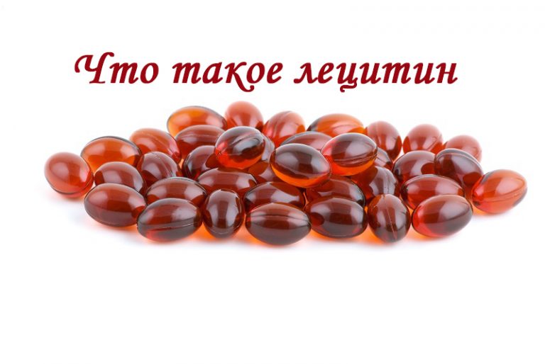 что такое лецитин