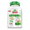 GreenDay ProVegan Astragalus Extract - 90 таб