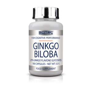 Ginkgo Biloba 100 tab Фото №1