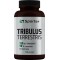 Sporter Tribulus Terrestris