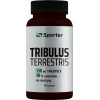 Tribulus Terrestris - 60 капс