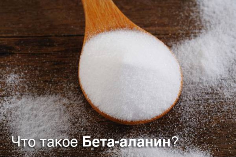 Бета аланин — что это? Каковы его свойства и польза для женщин и мужчин