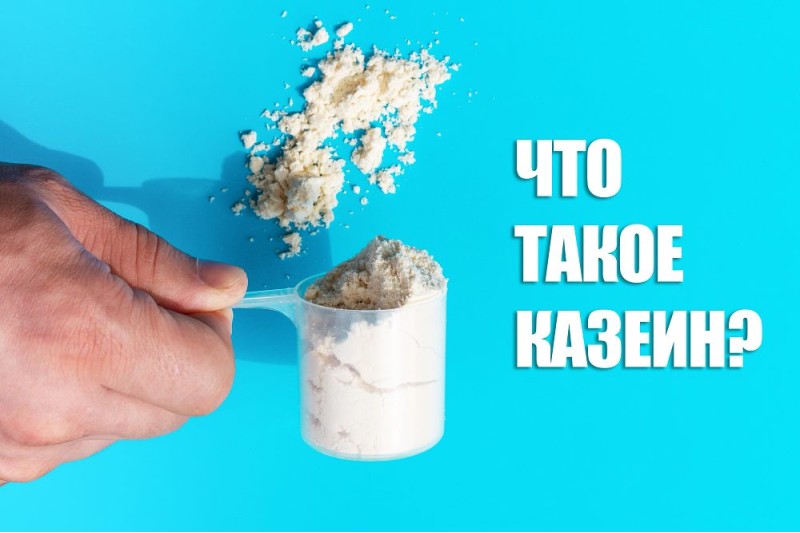 Что такое казеин. Польза, вред. Как принимать казеин