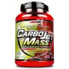 CarboJet Gain Mass Professional