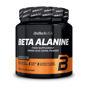 Beta Alanine Powder (300гр) Фото №1