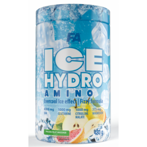 FA    Ice Hydro Amino - 480 гр - апельсин-манго