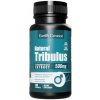 Tribulus 500 mg - 60 капс
