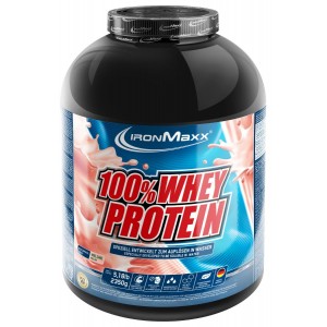 100% Whey Protein - 2350 гр (банка) - Дыня