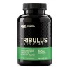 Tribulus 625 - 100 капсул