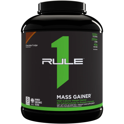 R1 Mass - 2600 г