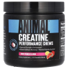 Animal Creatine