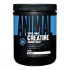 Animal Creatine Powder - 300 г