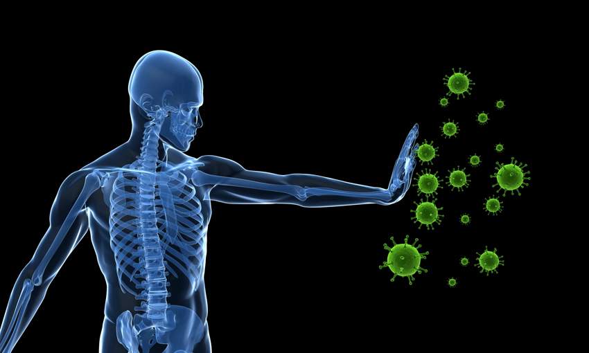 Immune-System