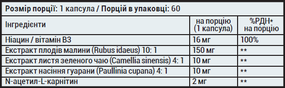 Fat Burner - 60 капс